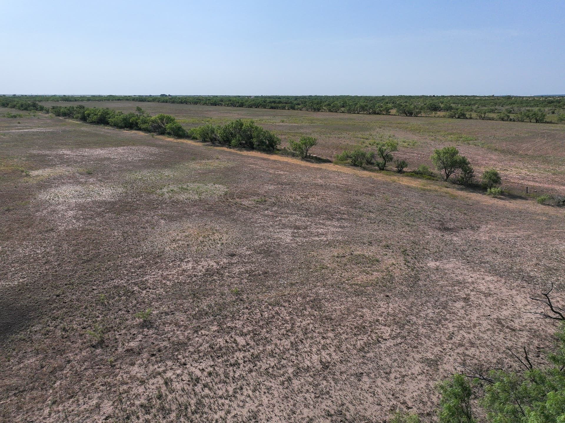 88.75 acres in Taylor County - photo 20