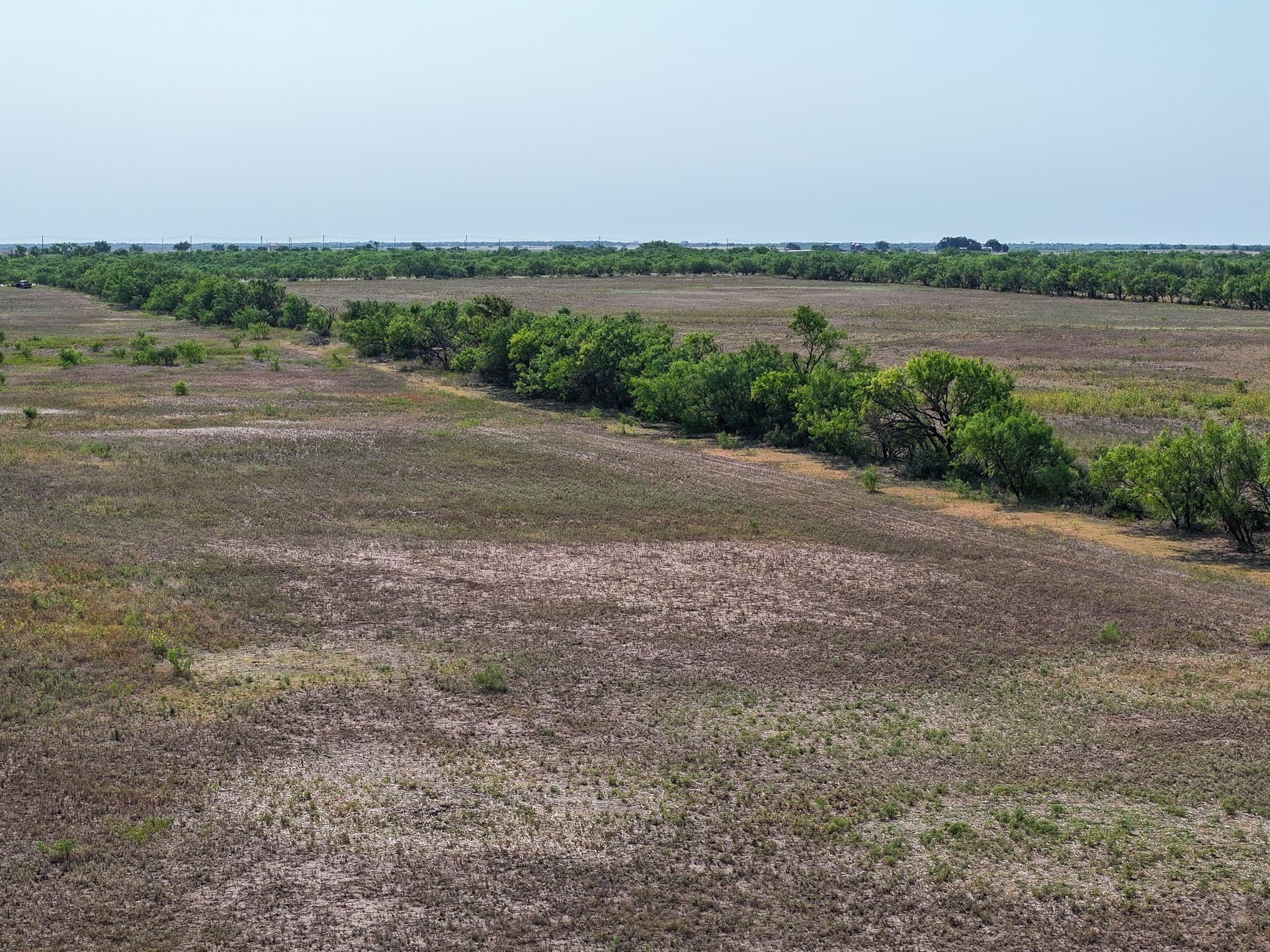 88.75 acres in Taylor County - photo 23