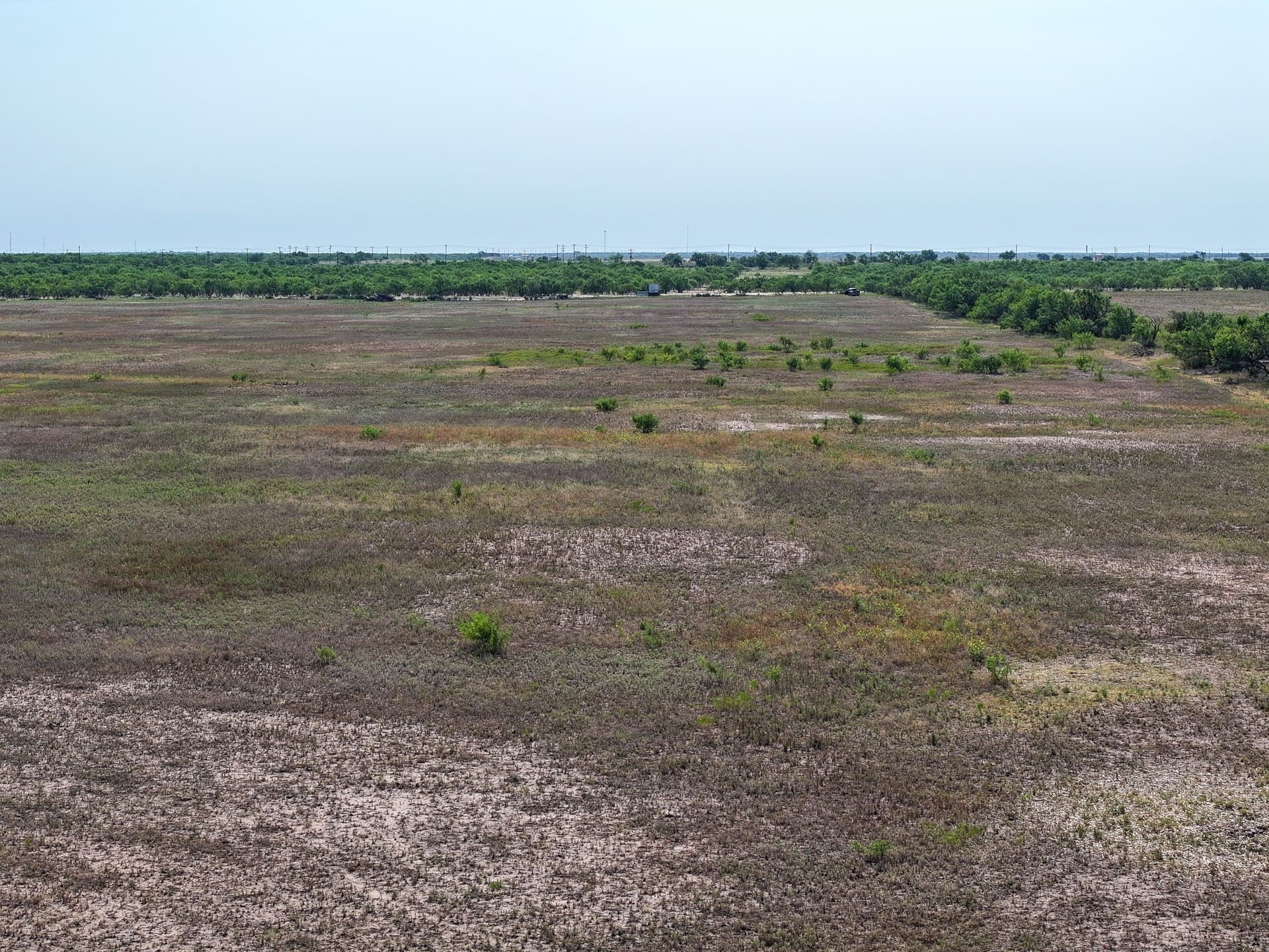 88.75 acres in Taylor County - photo 24