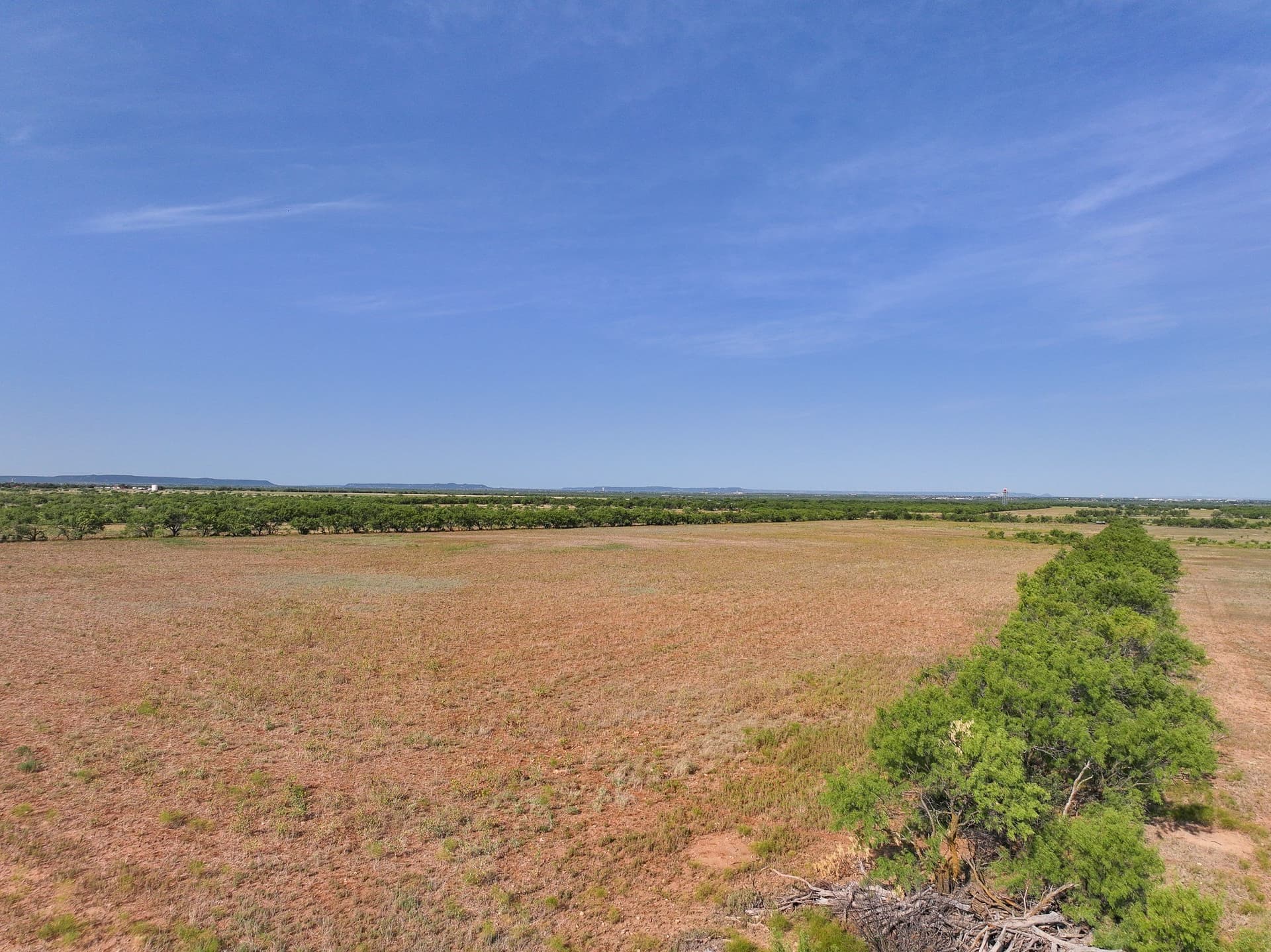 88.75 acres in Taylor County - photo 3