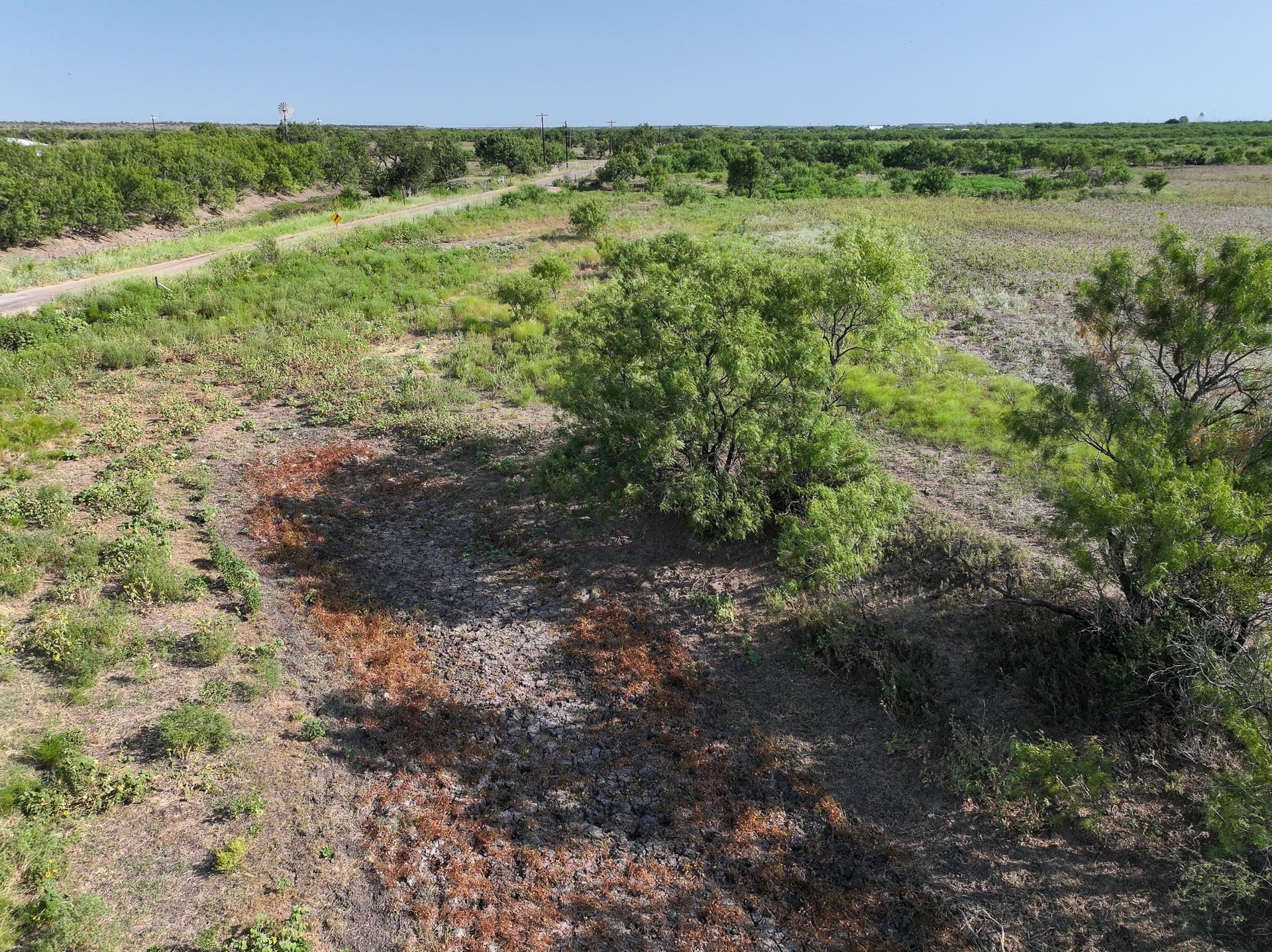 88.75 acres in Taylor County - photo 8