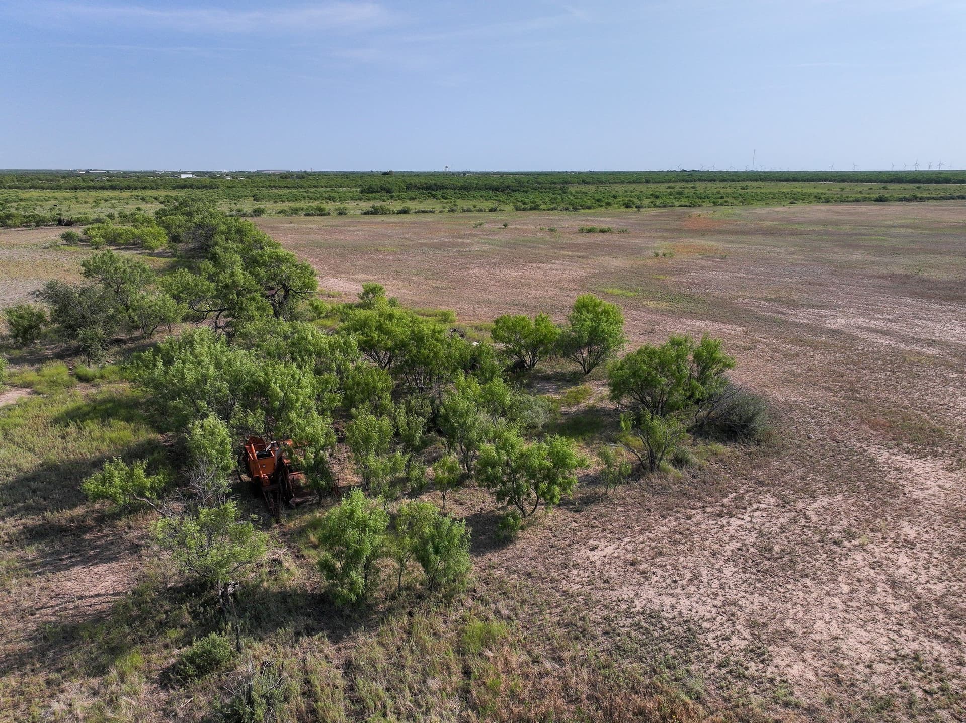 88.75 acres in Taylor County - photo 18