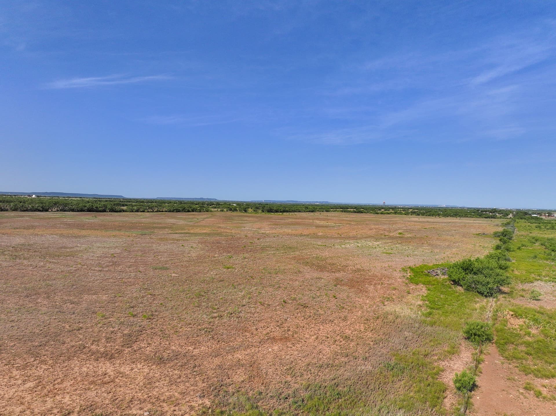88.75 acres in Taylor County - photo 6