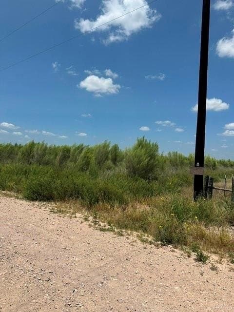 10.42 acres in Hidalgo County - photo 7
