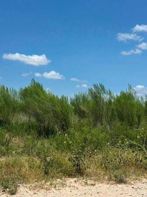 10.42 acres in Hidalgo County - photo 5