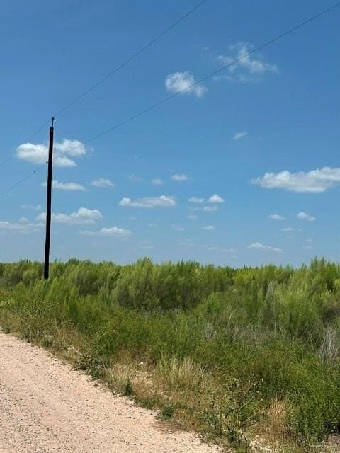 10.42 acres in Hidalgo County - photo 2