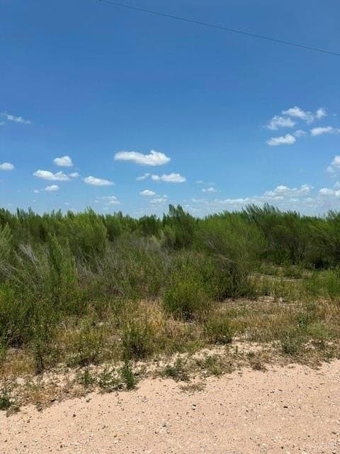 10.42 acres in Hidalgo County - photo 4