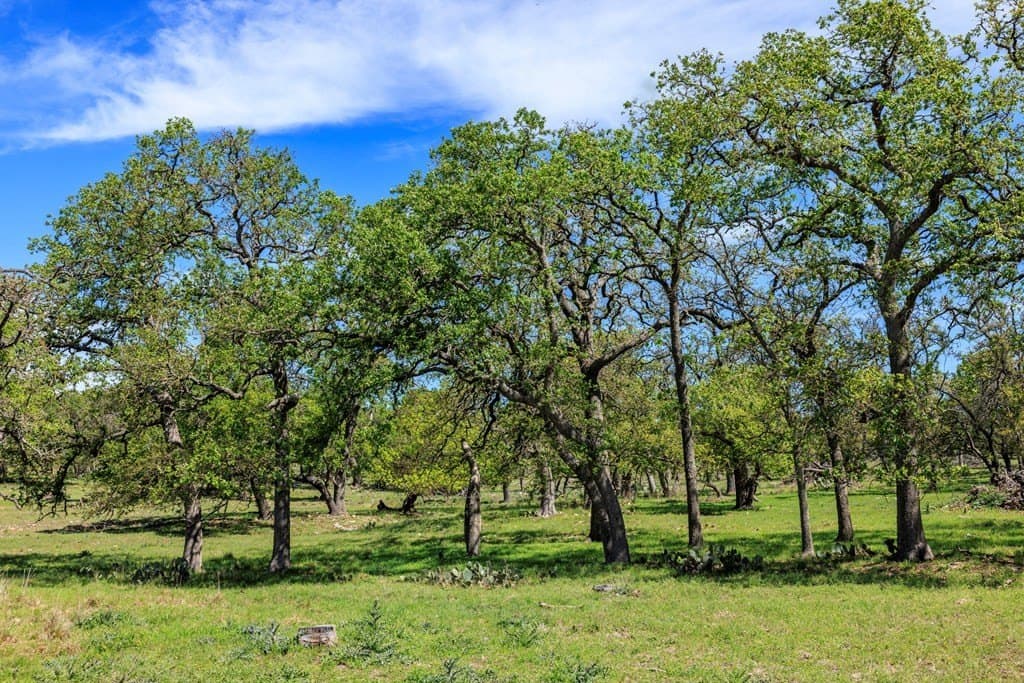 21 acres in Kerr County featured view