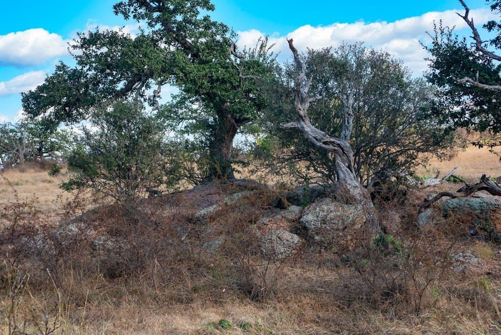 171 acres in Mason County - photo 12