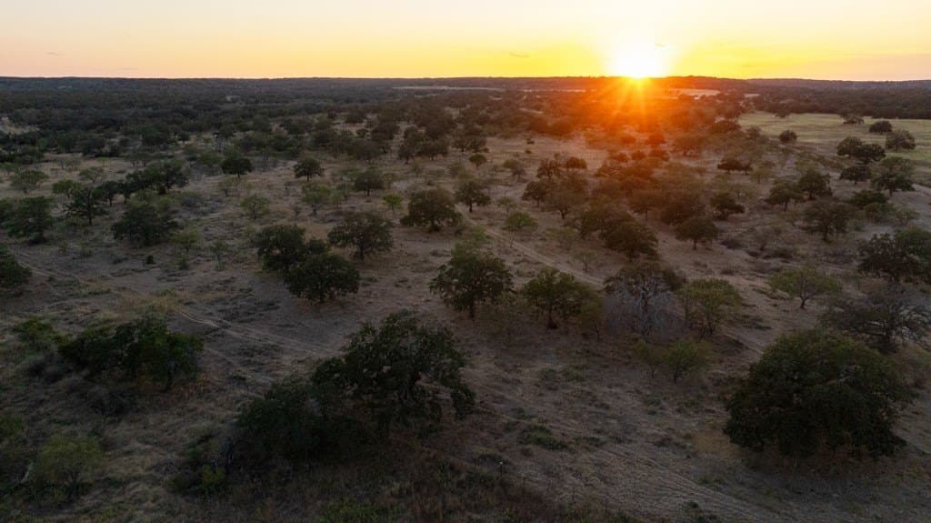 171 acres in Mason County - photo 16
