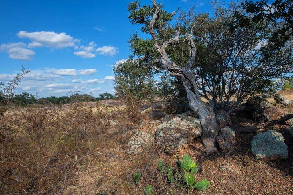 170 acres in Mason County featured view