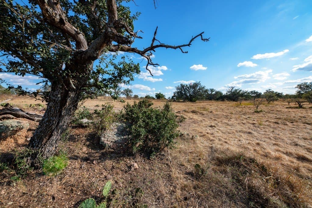 171 acres in Mason County - photo 6