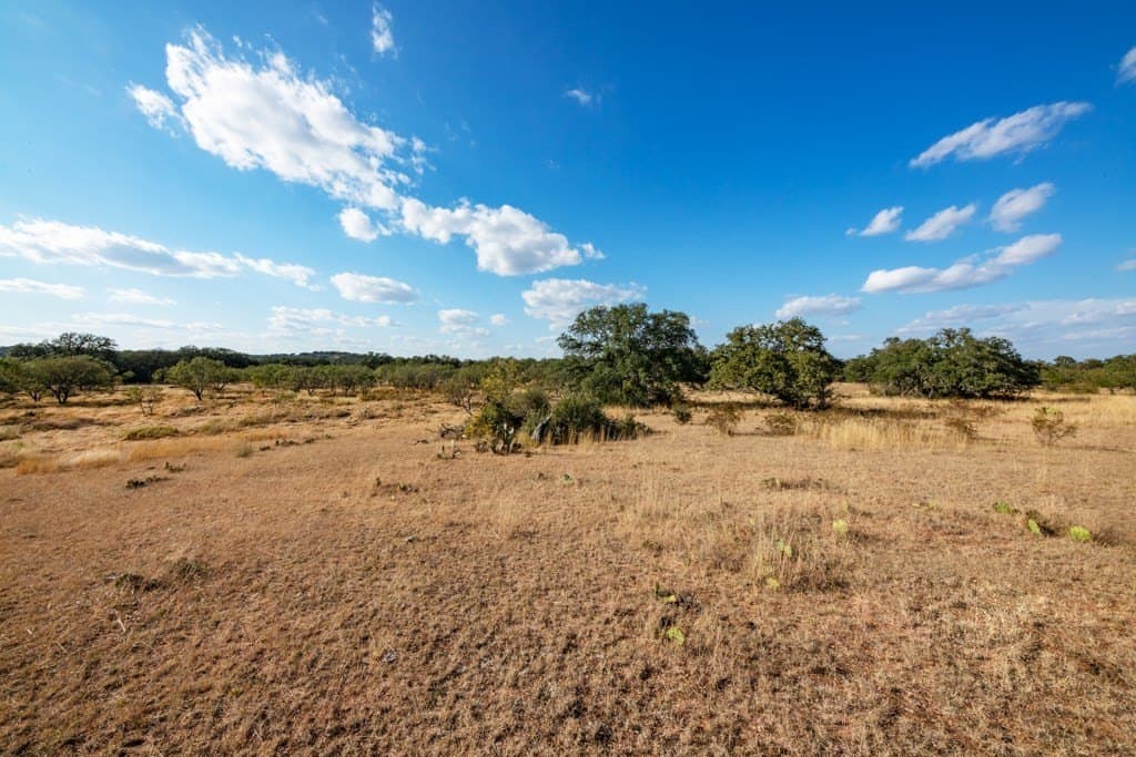 171 acres in Mason County - photo 8