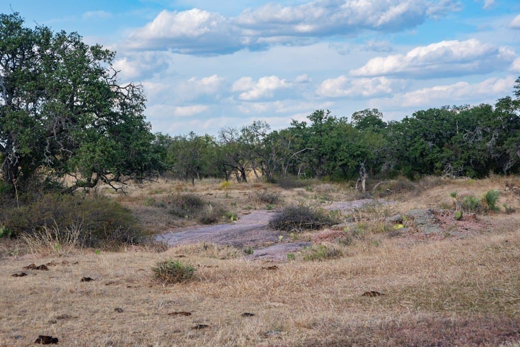 171 acres in Mason County - photo 11