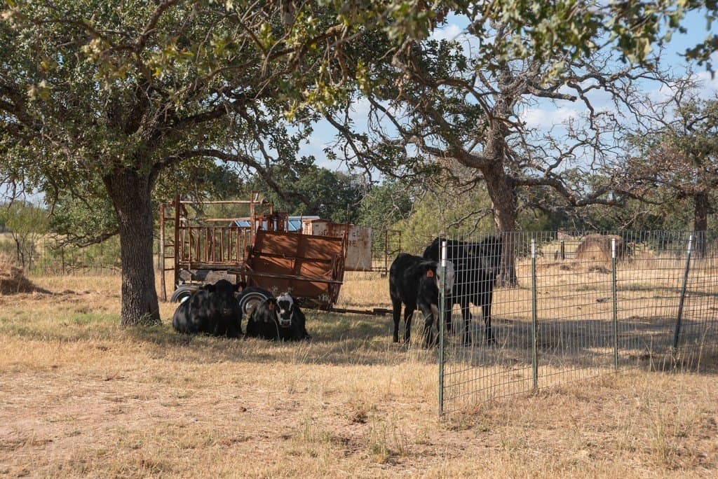 171 acres in Mason County - photo 10
