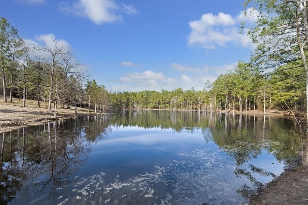 269.94 acres in Texas County
