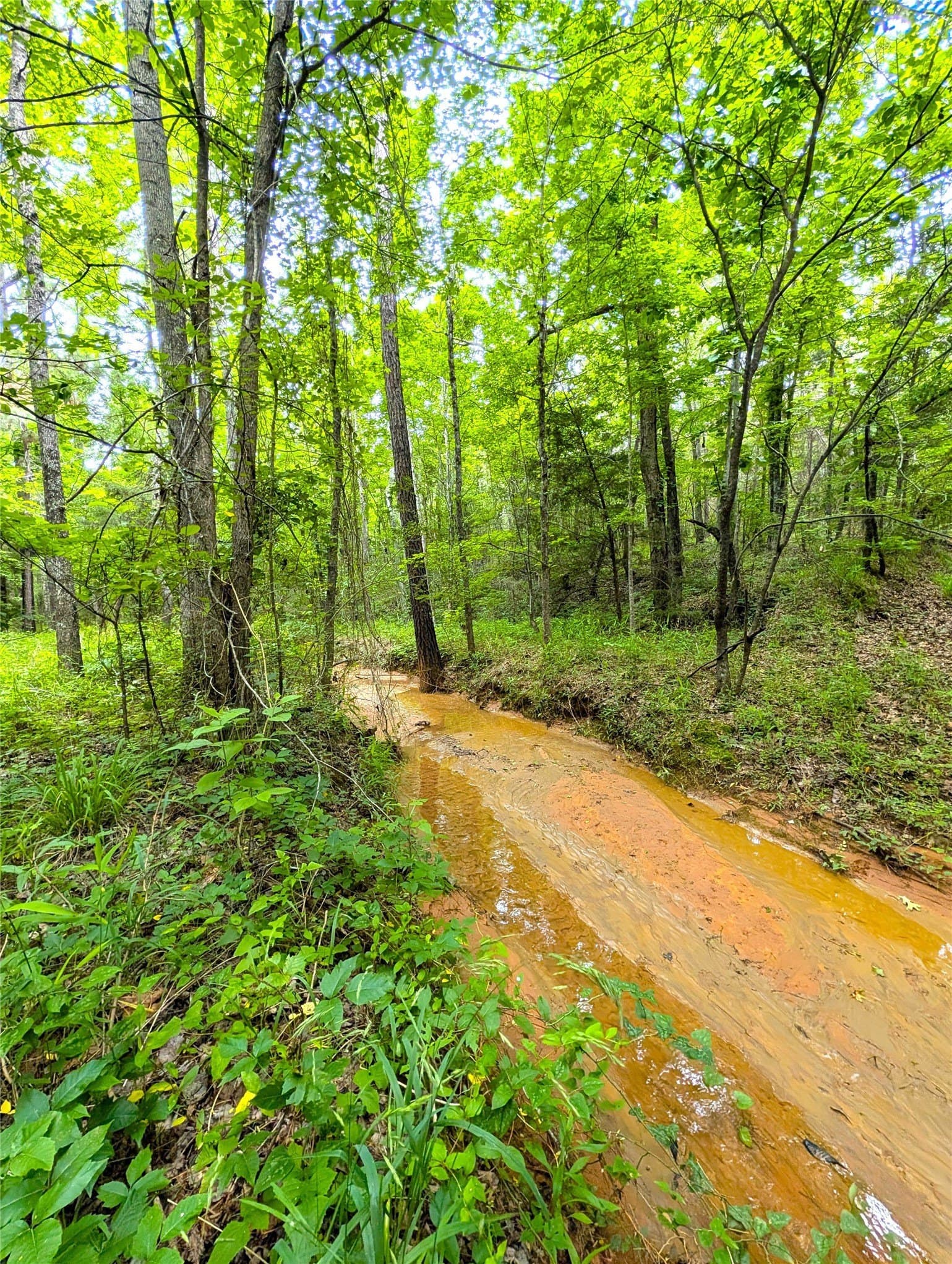 66.4 acres in Cherokee County - photo 9