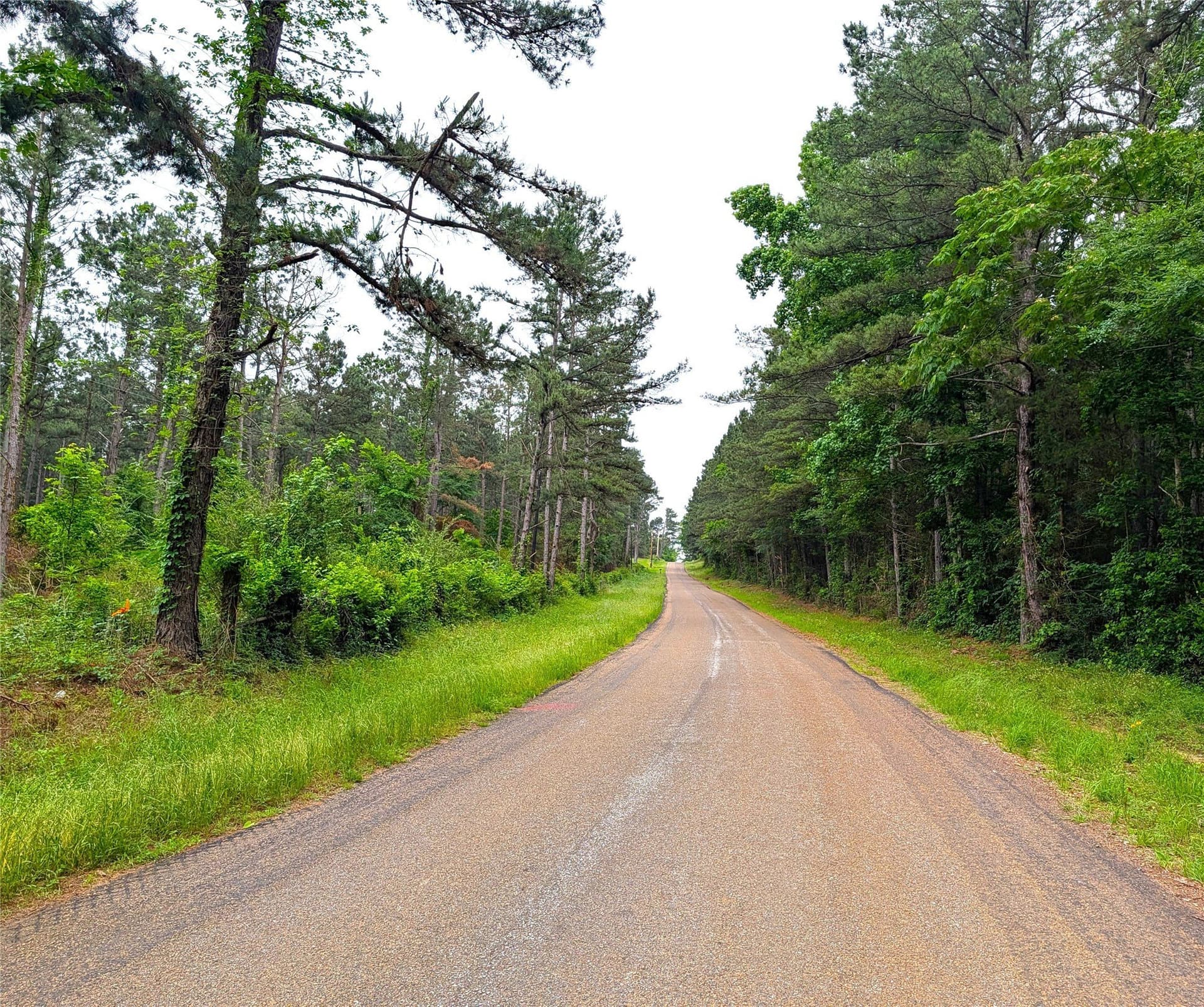66.4 acres in Cherokee County gallery image 2