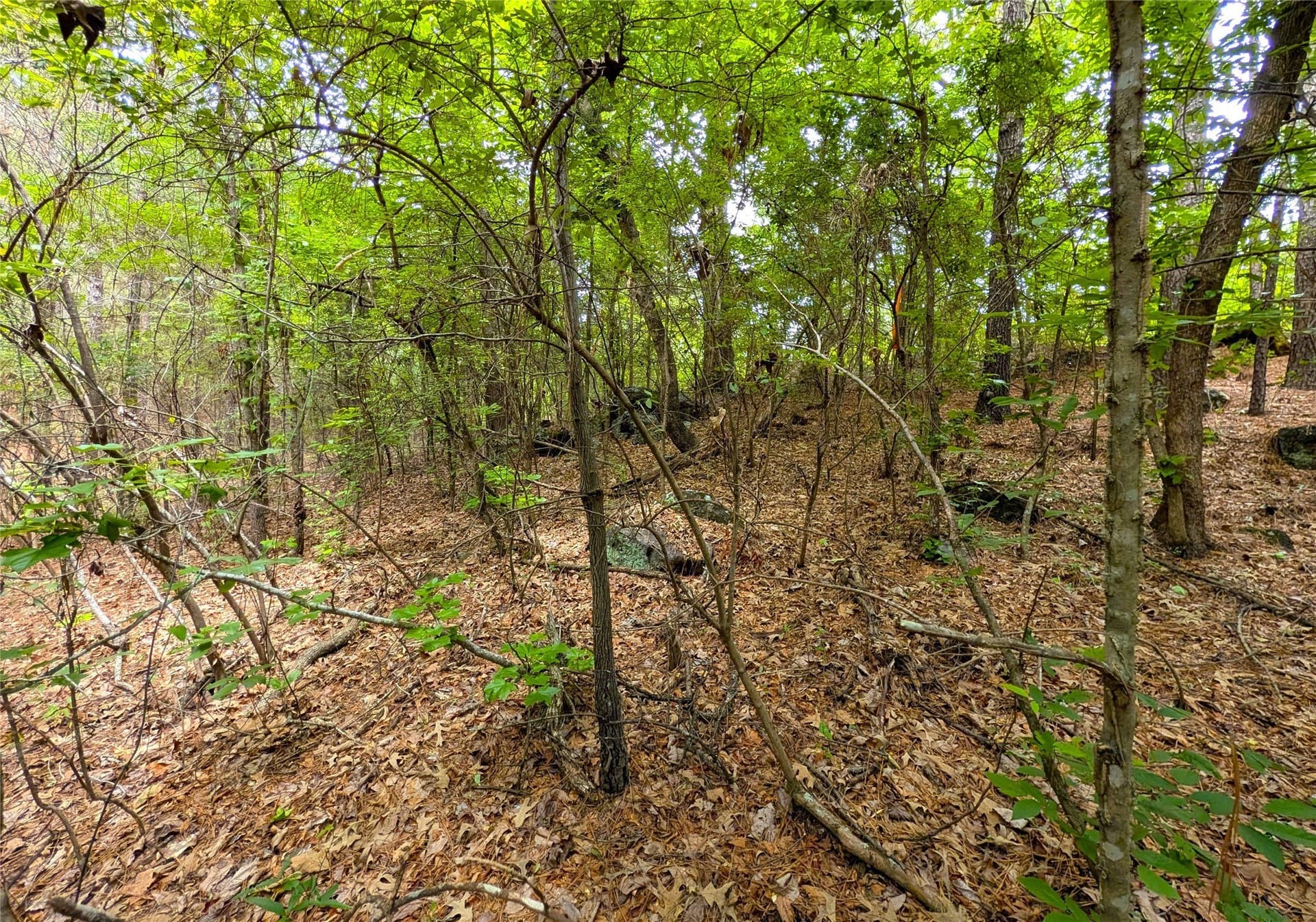66.4 acres in Cherokee County - photo 11