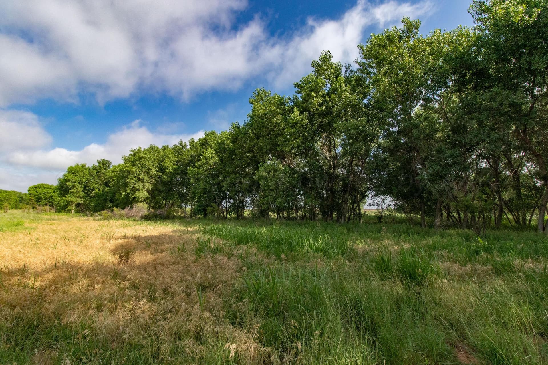 320 acres in Hall County featured view