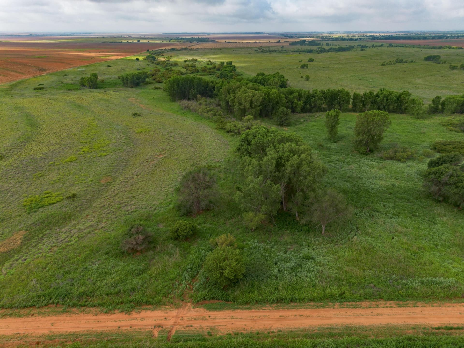 320 acres in Hall County gallery image 2