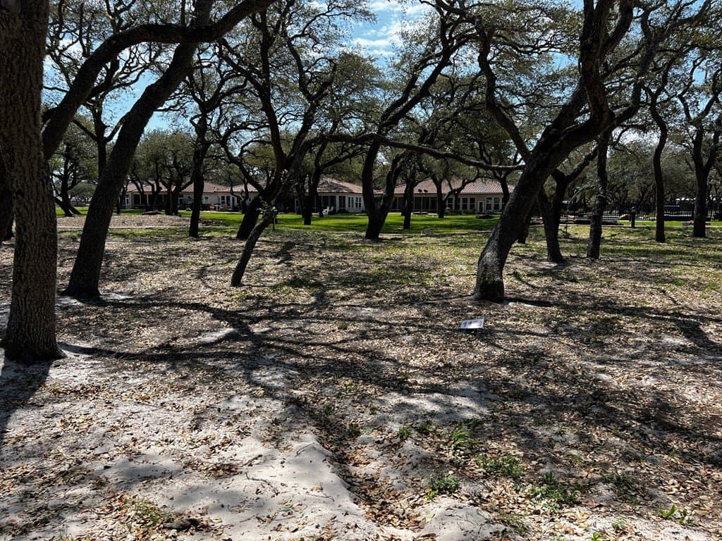 0.11 acres in Texas County - photo 2