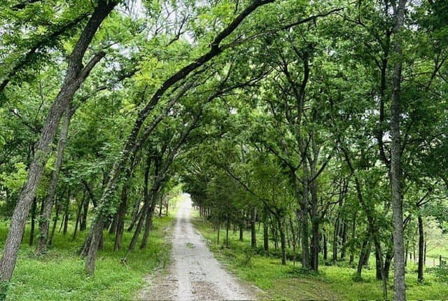 23.1 acres in Grayson County - photo 34