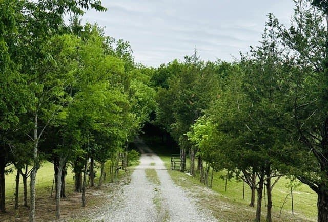 23.1 acres in Grayson County - photo 33