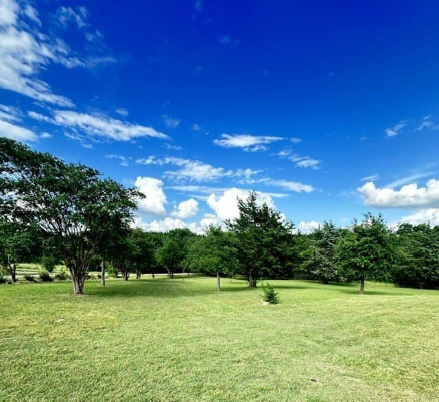 23.1 acres in Grayson County - photo 32