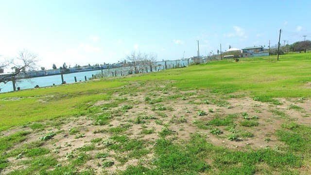 0 acres in Cameron County - photo 13