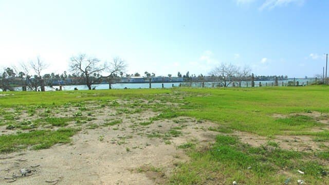 0 acres in Cameron County - photo 10