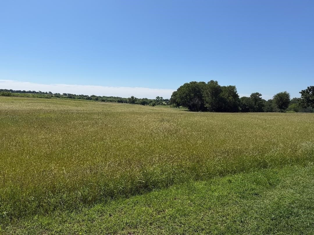 25 acres in Hill County - photo 26