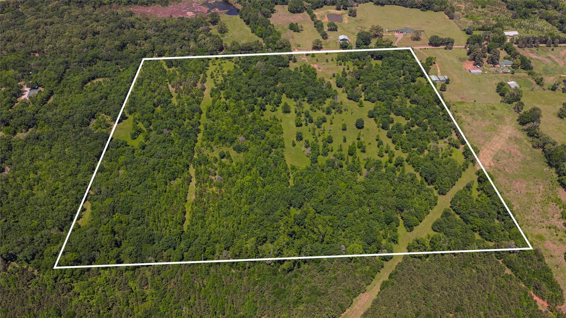 44 acres in Titus County - photo 10