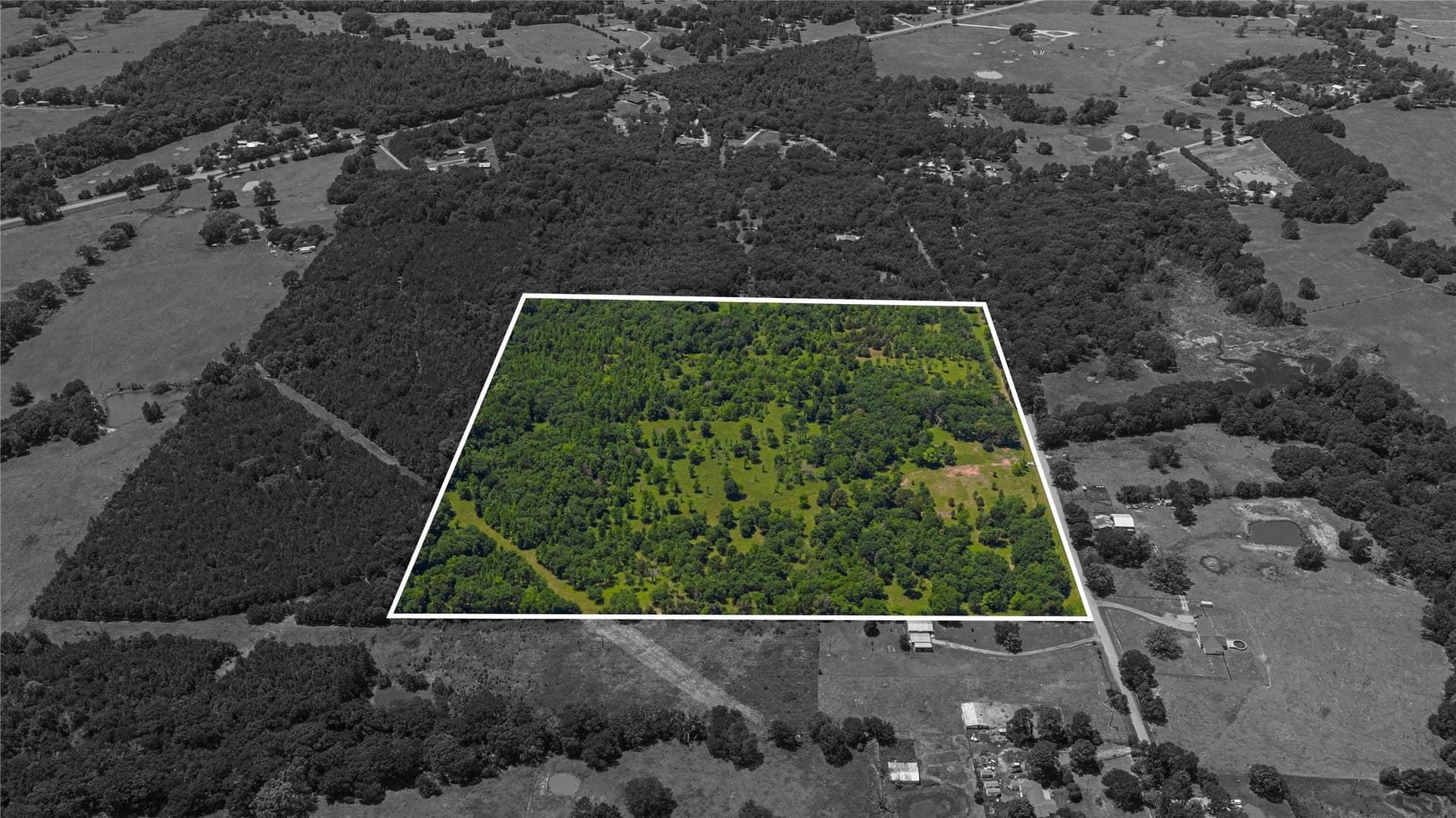 44 acres in Titus County gallery image 4