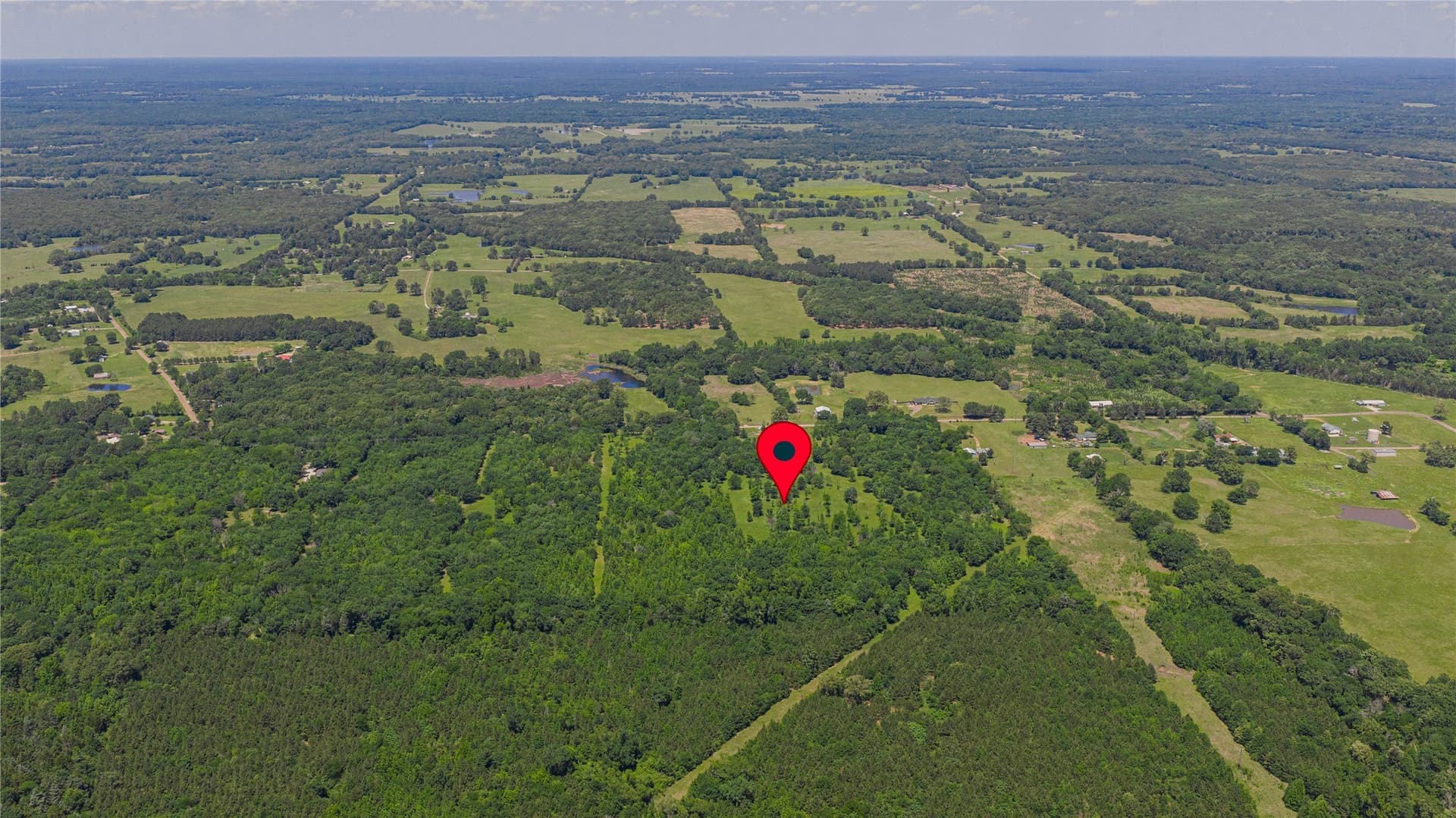 44 acres in Titus County - photo 8