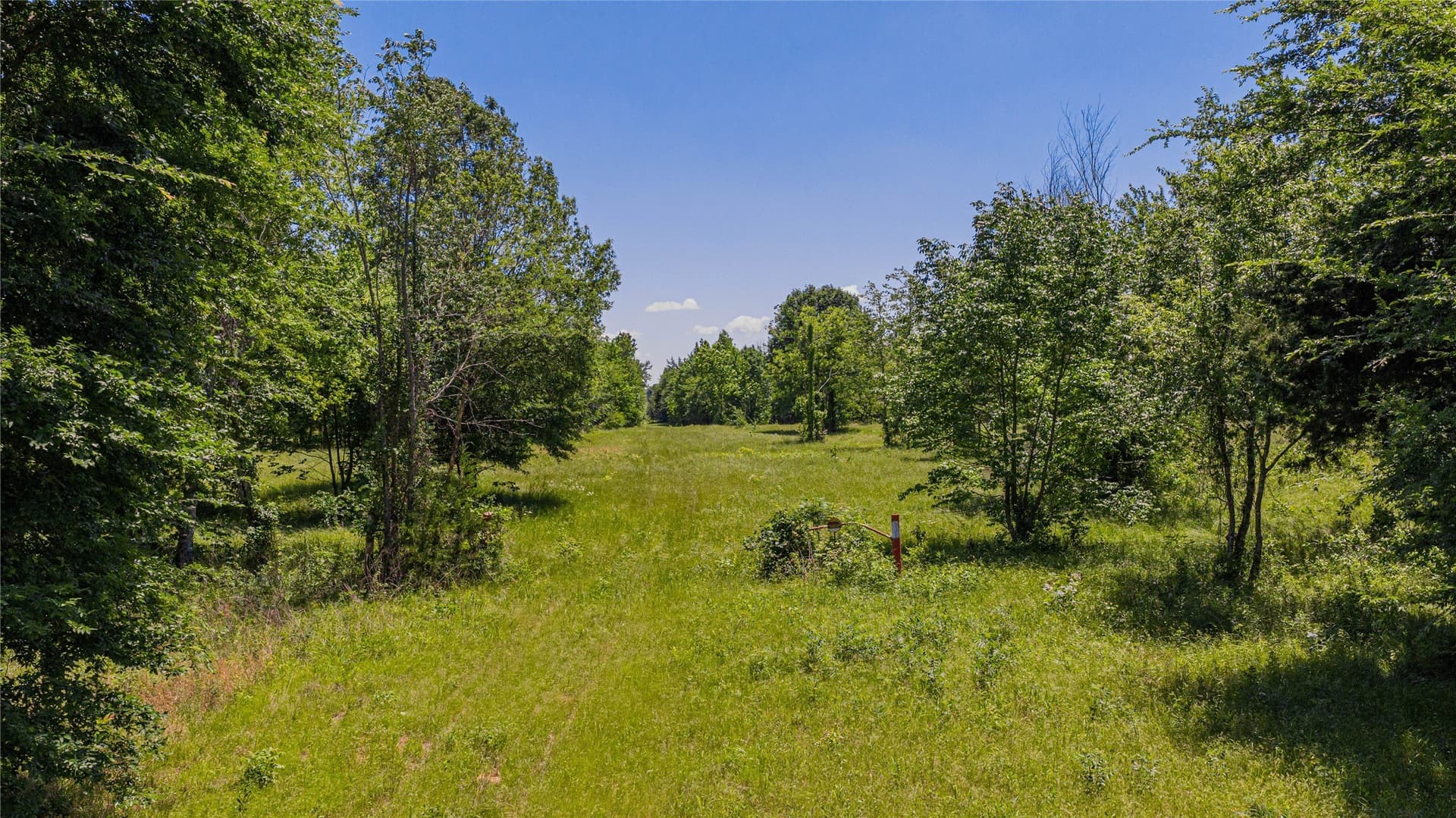 44 acres in Titus County - photo 19
