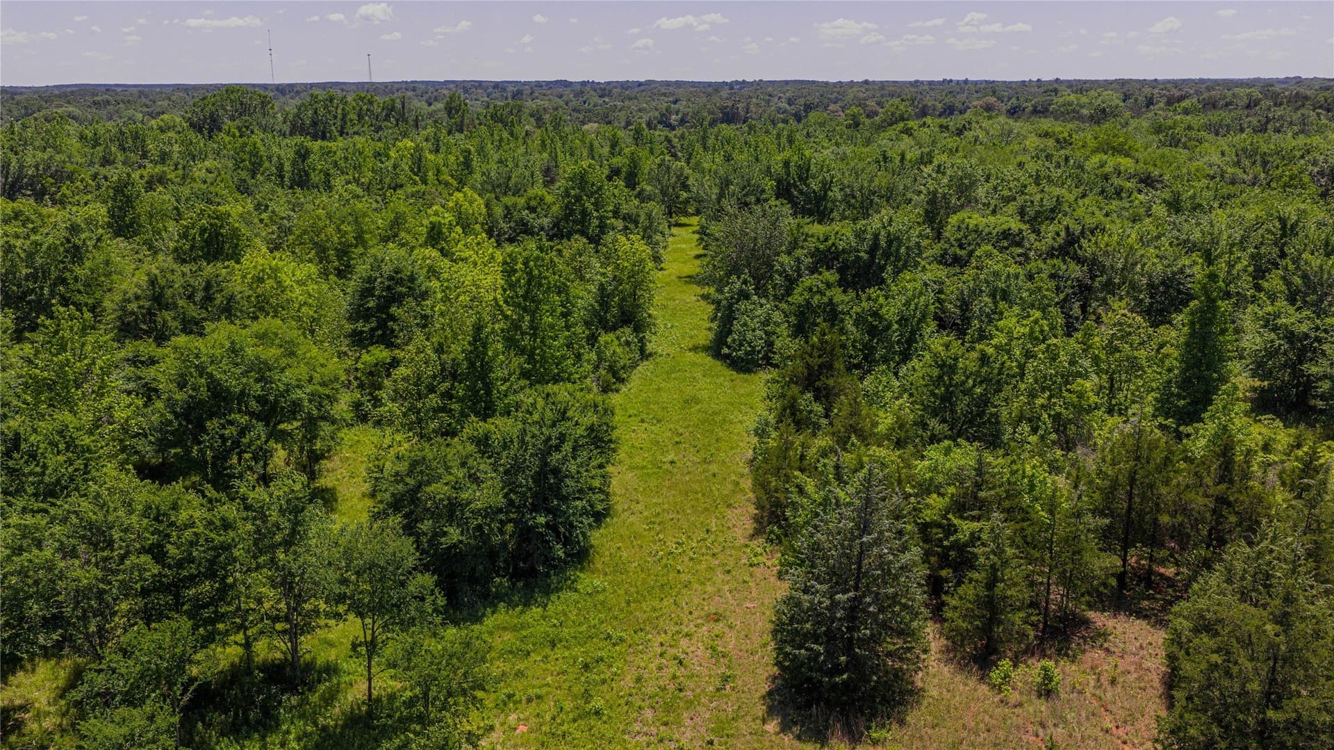 44 acres in Titus County - photo 15