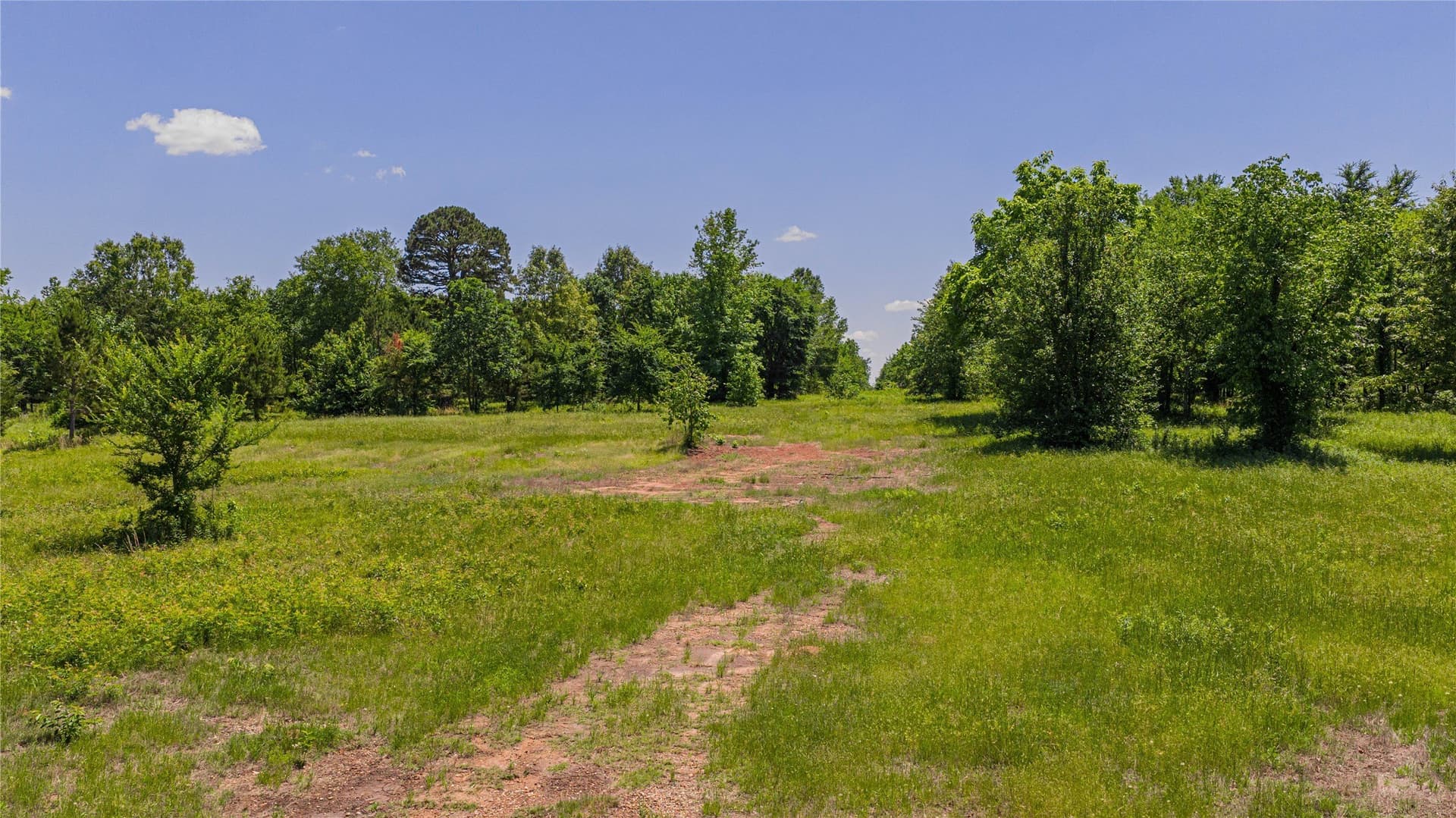 44 acres in Titus County - photo 17