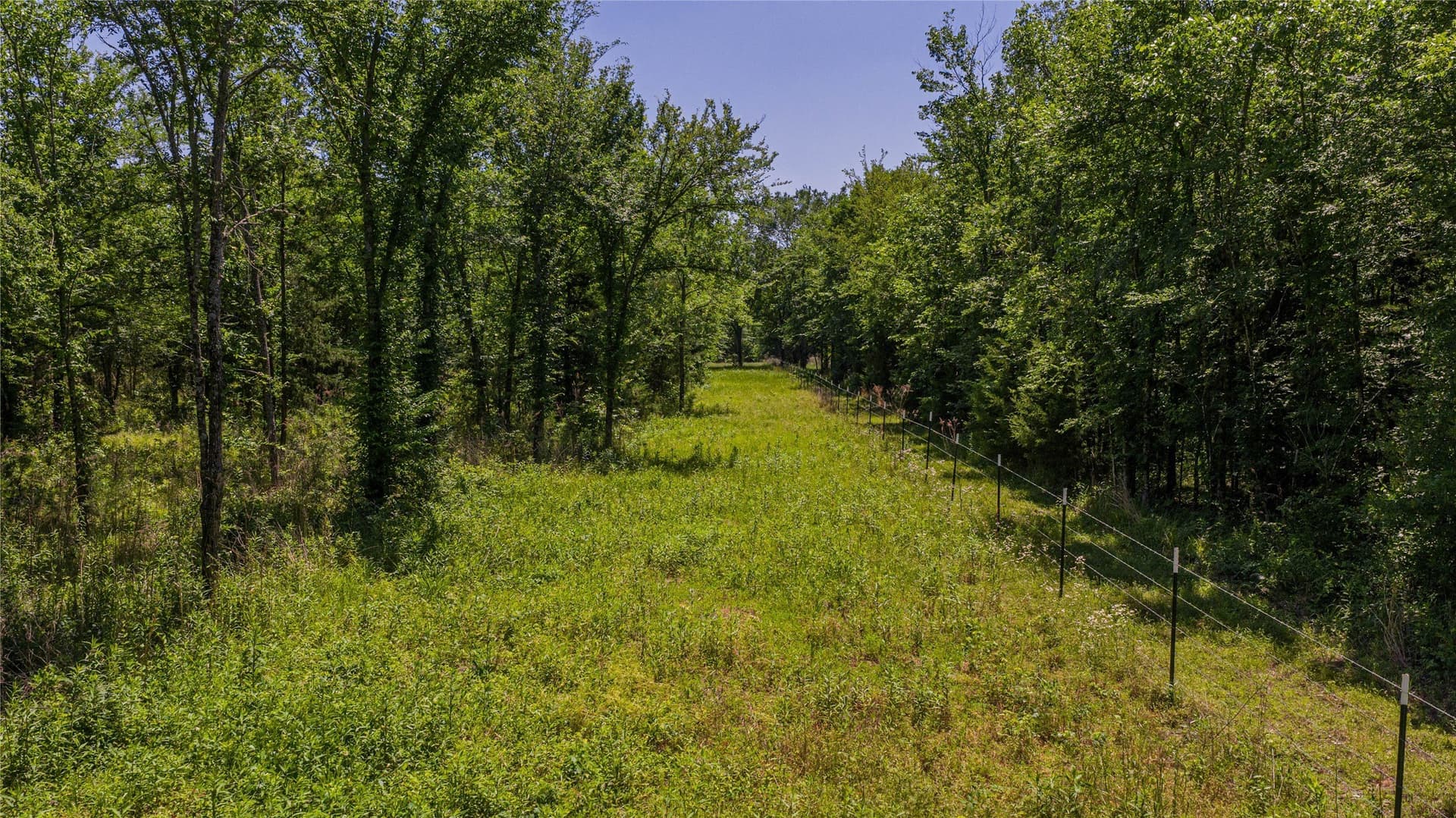 44 acres in Titus County - photo 14
