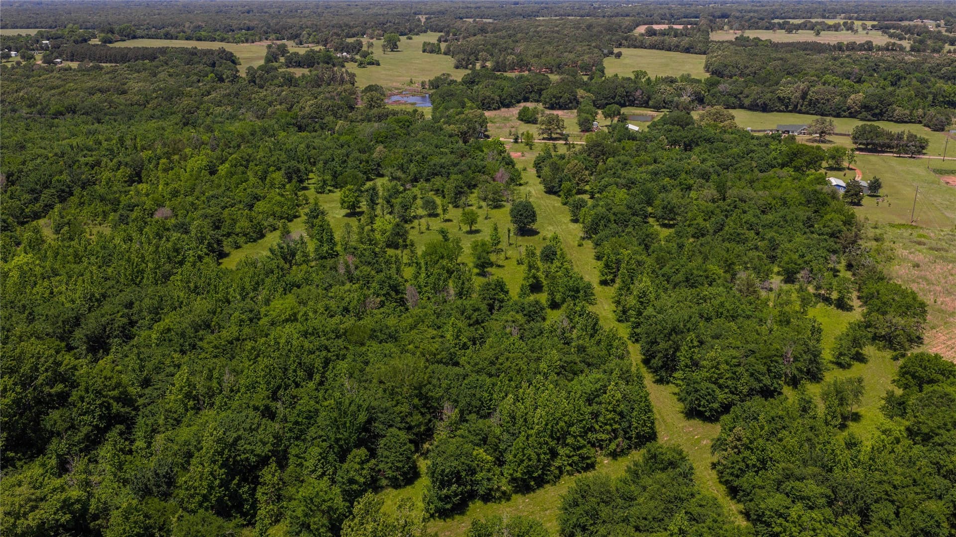 44 acres in Titus County - photo 11