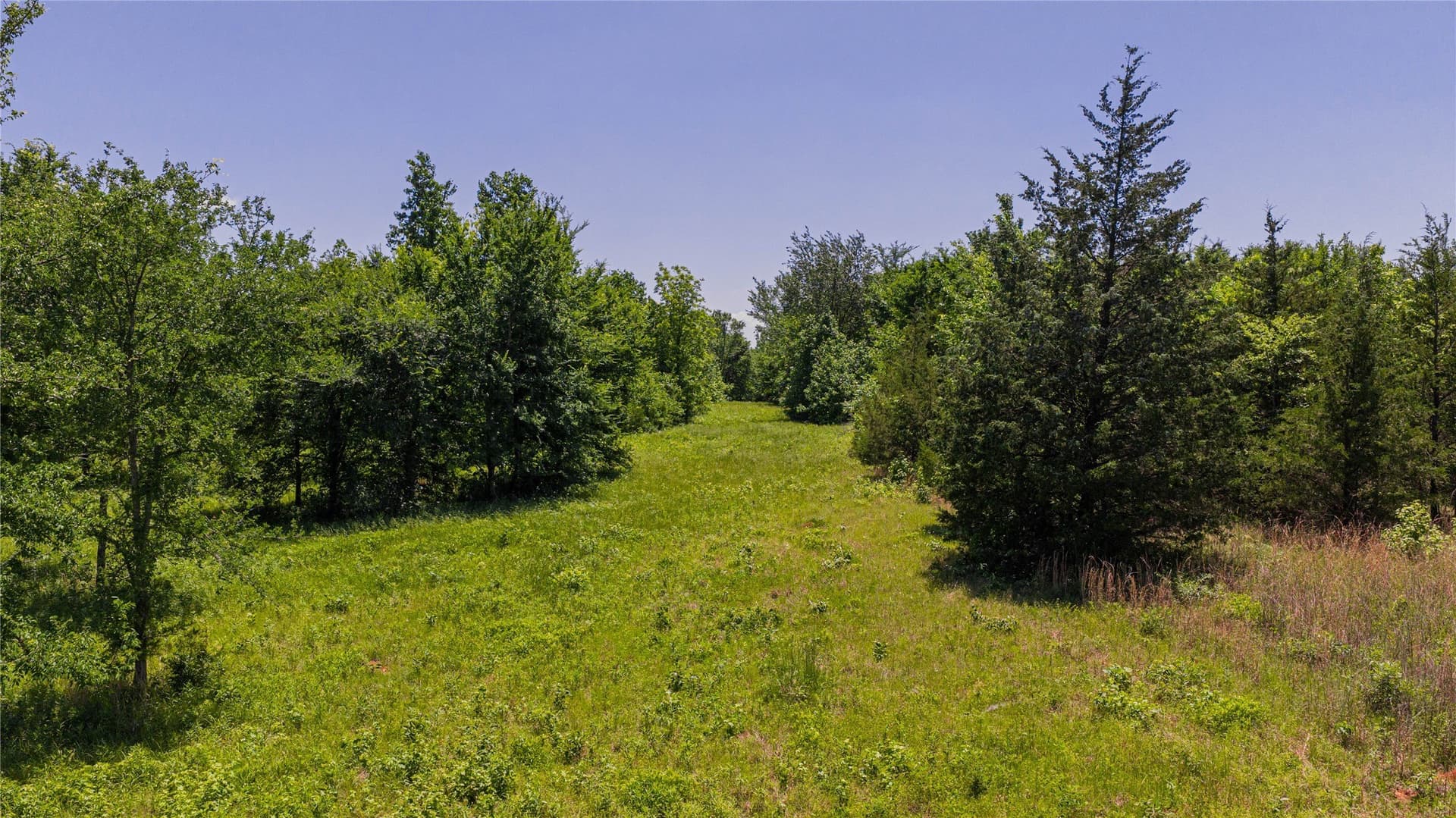 44 acres in Titus County - photo 16