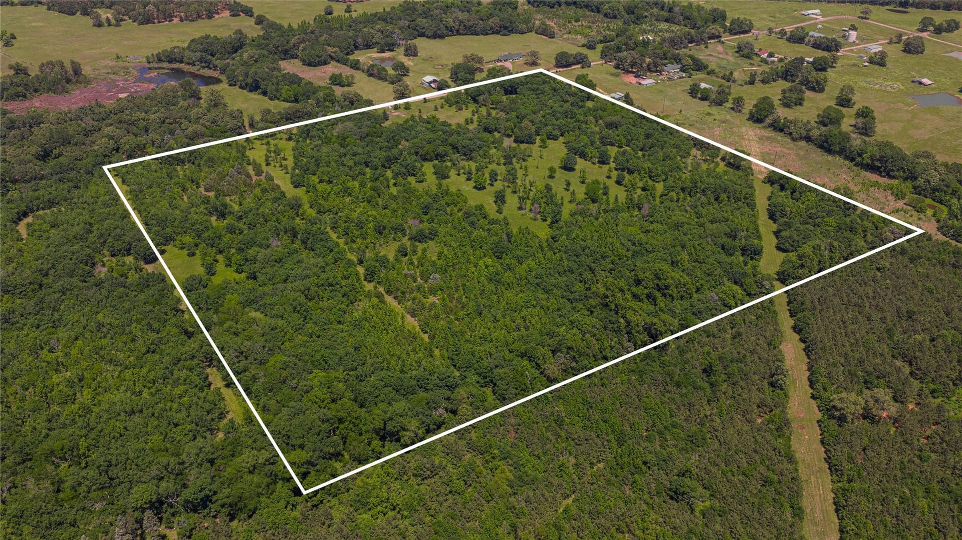 44 acres in Titus County - photo 9