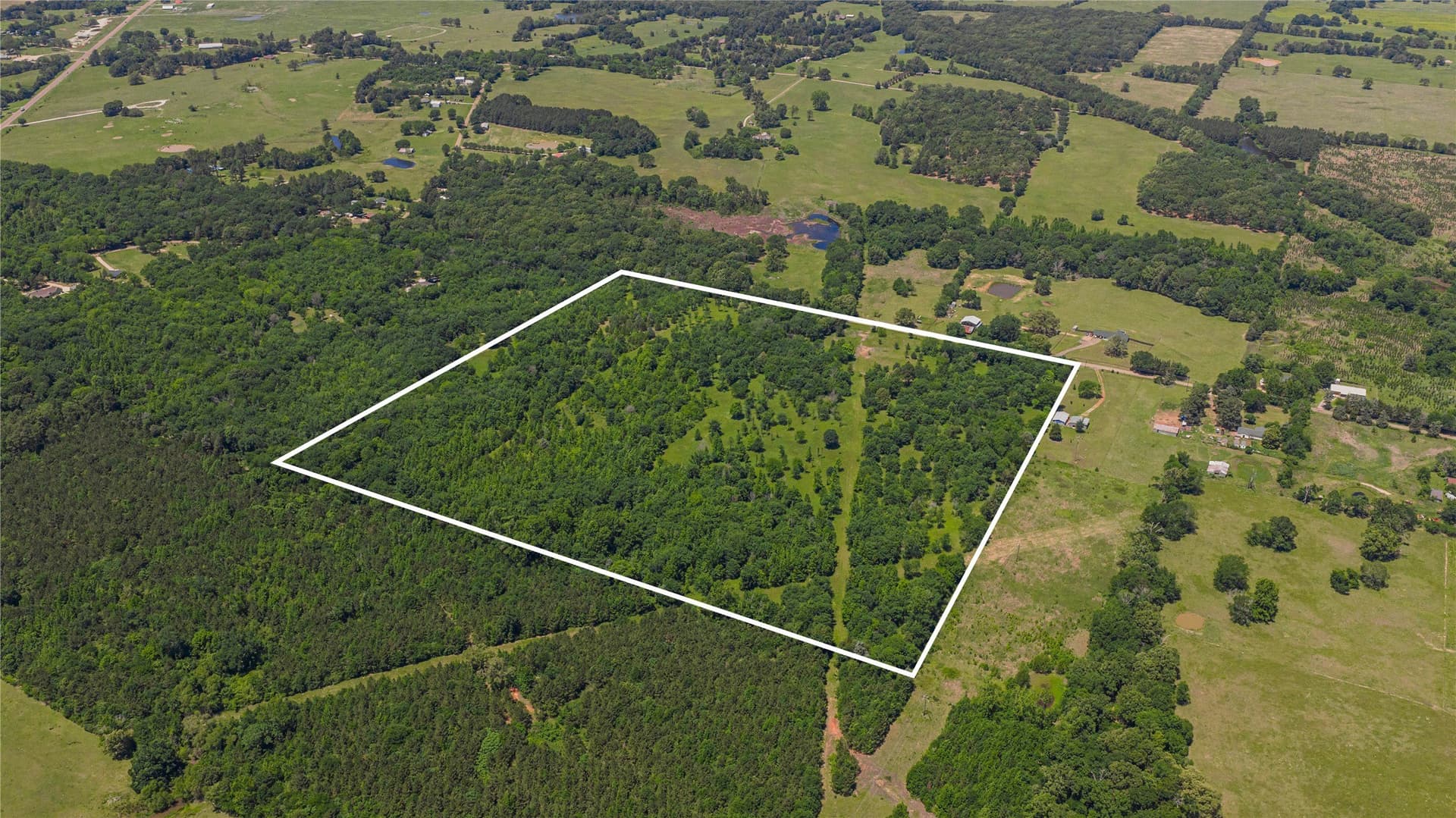 44 acres in Titus County - photo 7