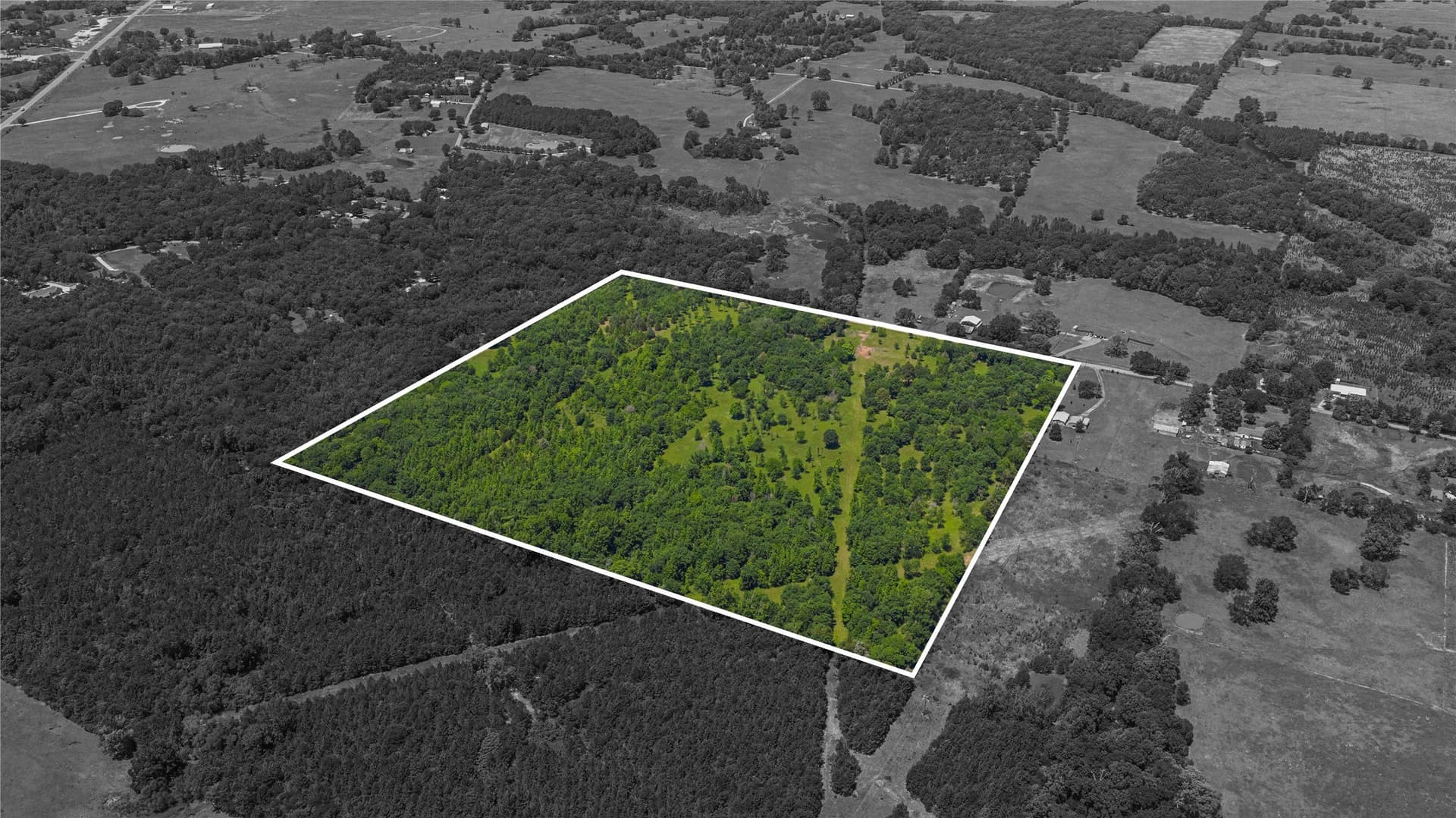 44 acres in Titus County - photo 6