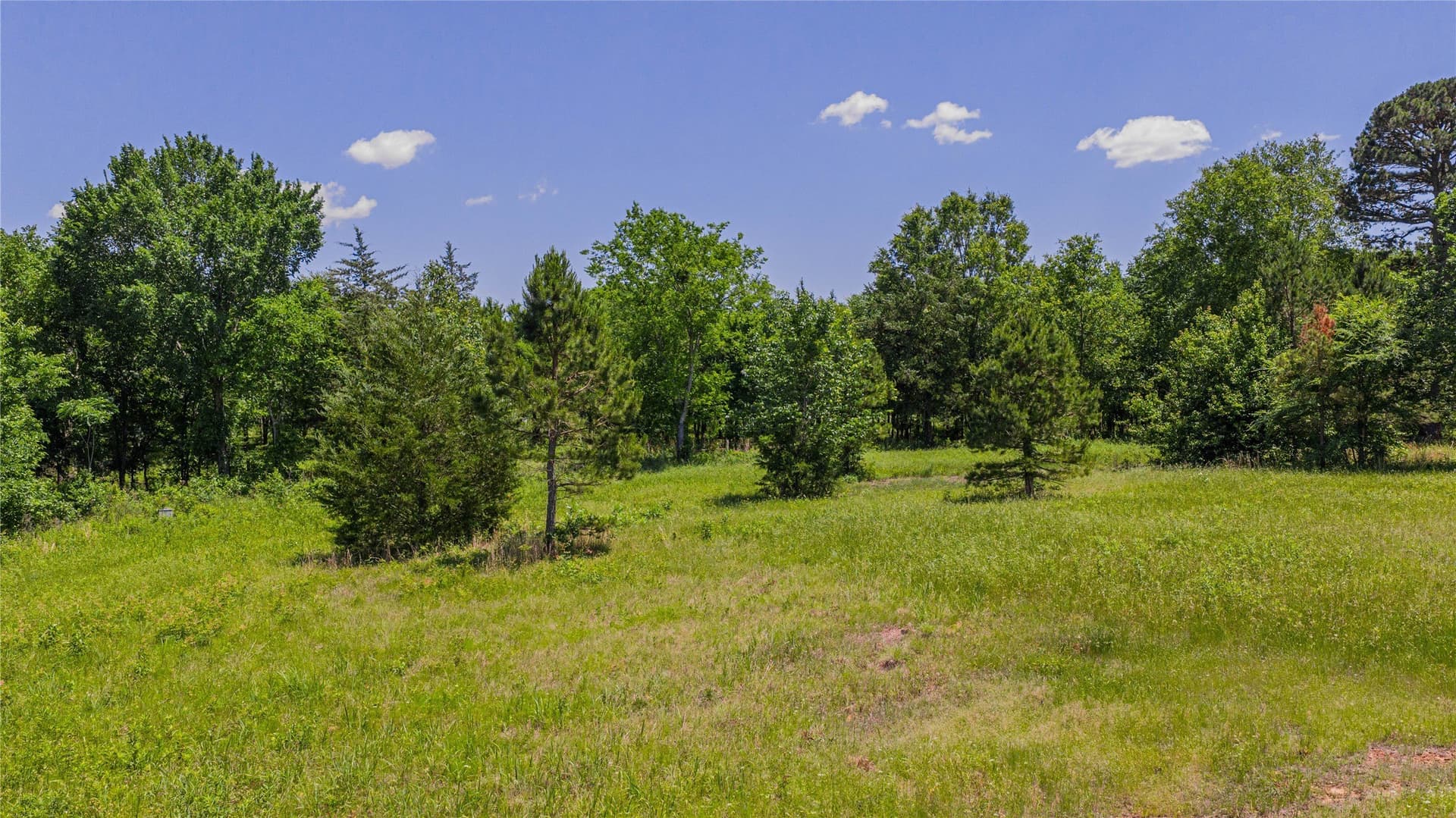 44 acres in Titus County - photo 18