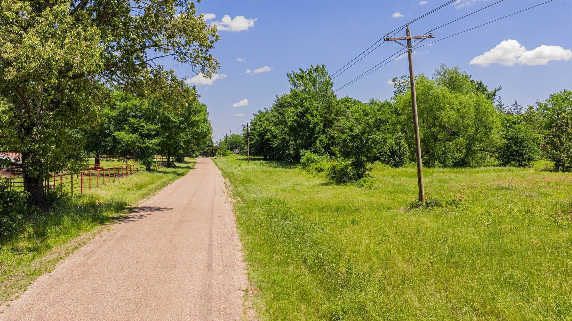 44 acres in Titus County - photo 24