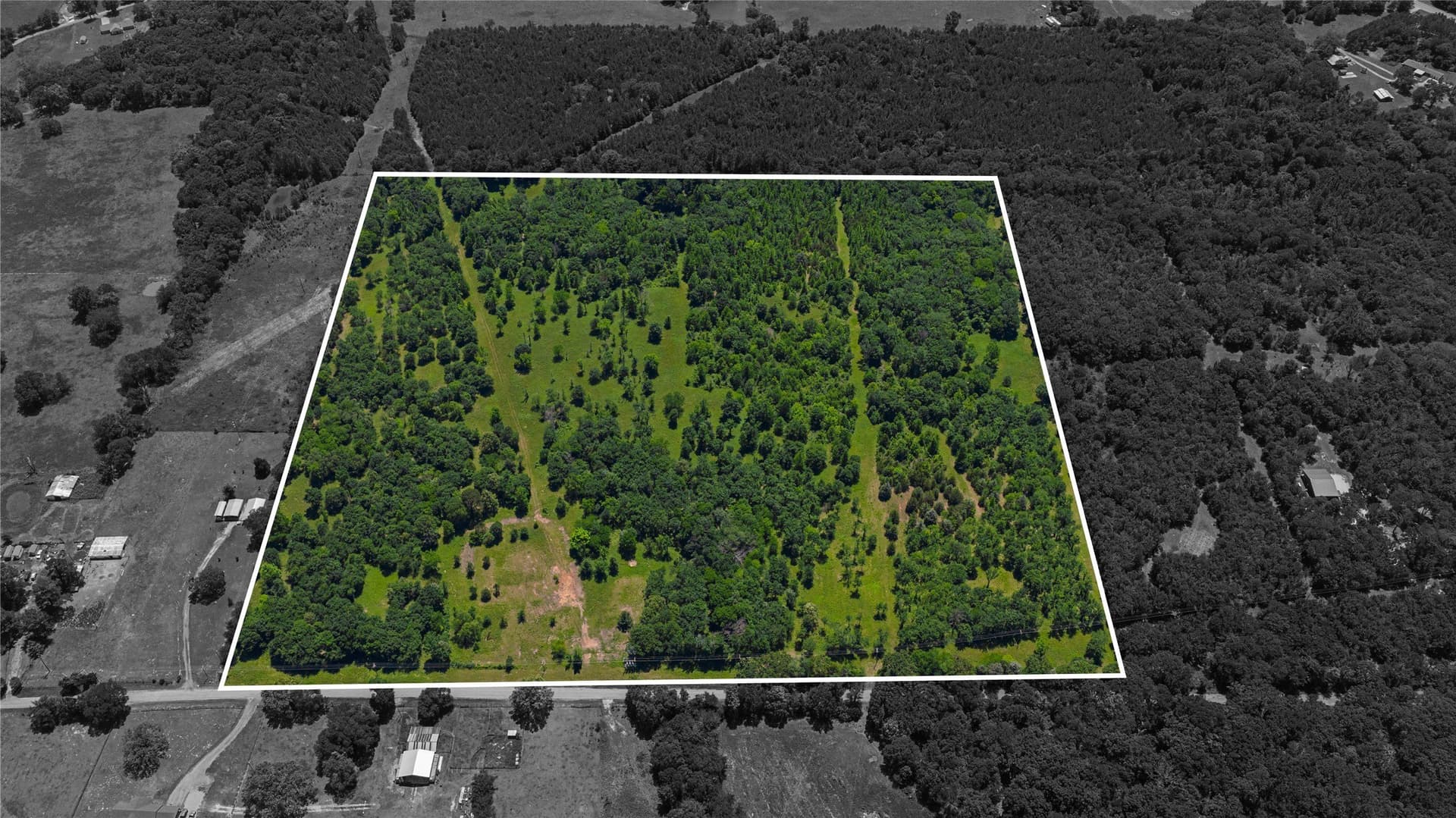 44 acres in Titus County