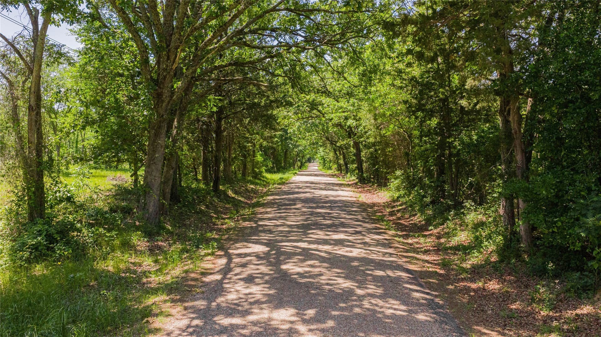 44 acres in Titus County - photo 23