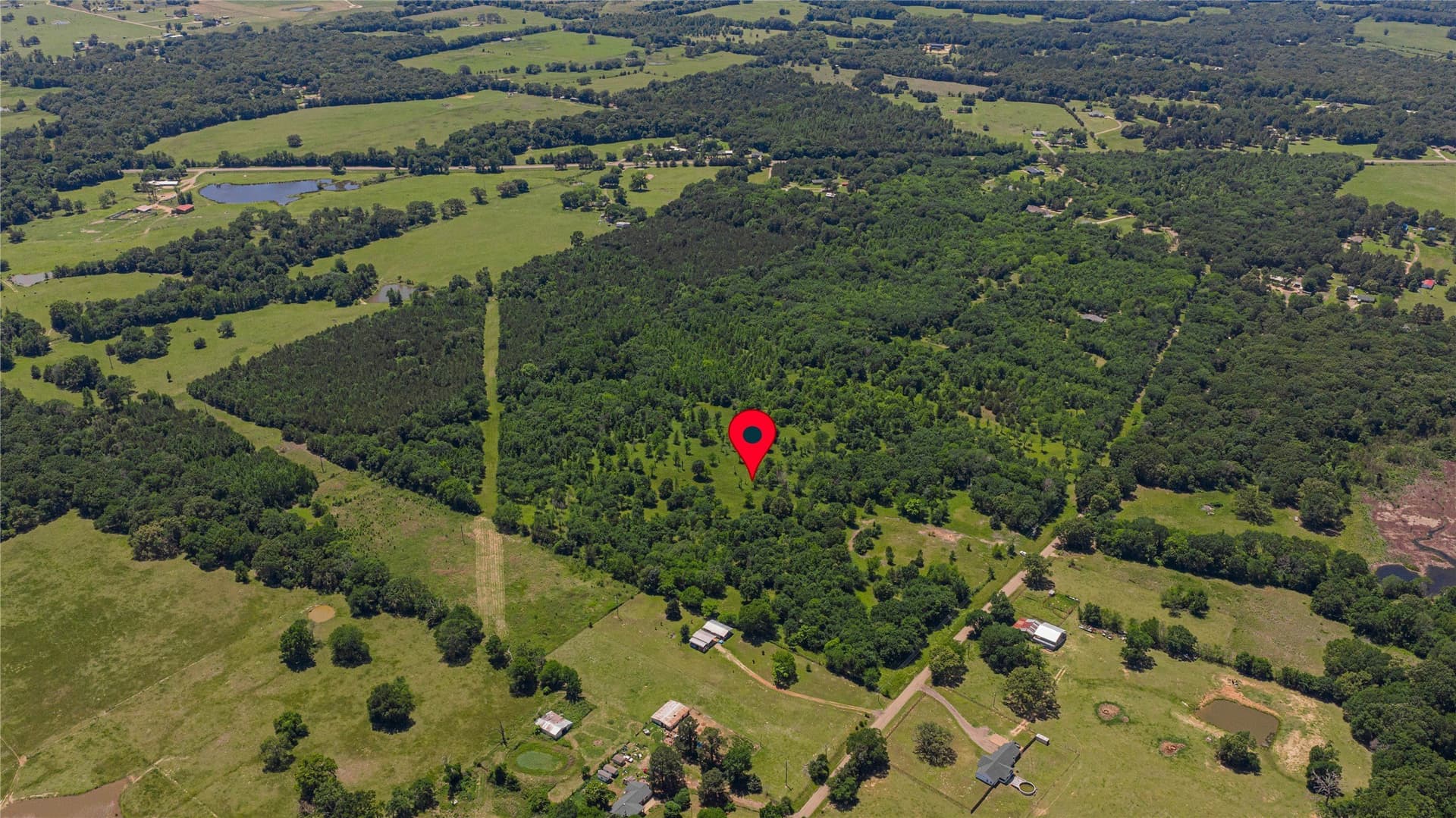 44 acres in Titus County gallery image 3