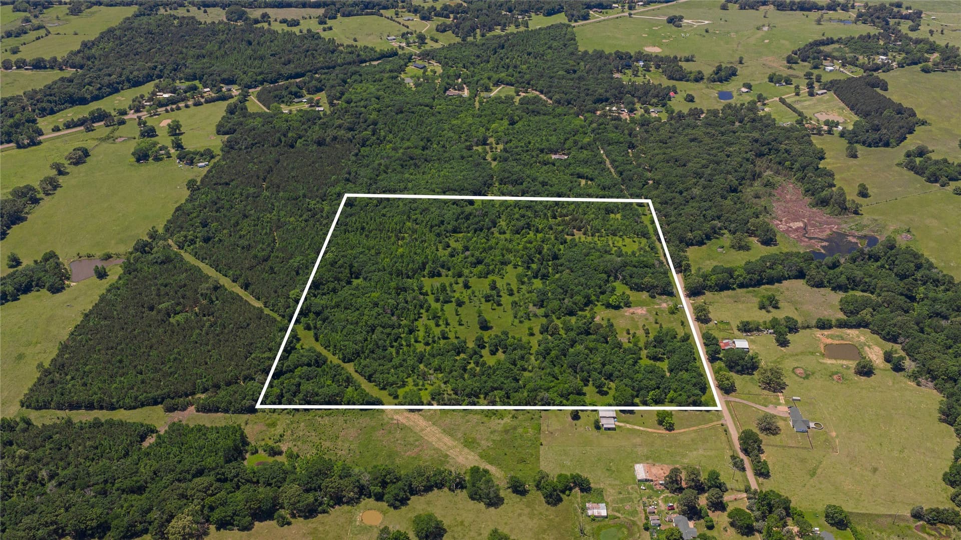 44 acres in Titus County featured view